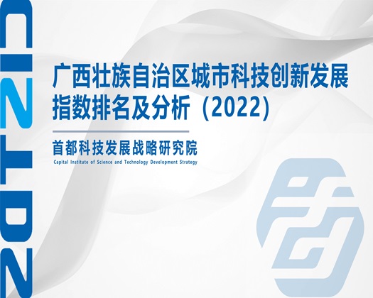 美女吃大鸡吧被操小穴【成果发布】广西壮族自治区城市科技创新发展指数排名及分析（2022）